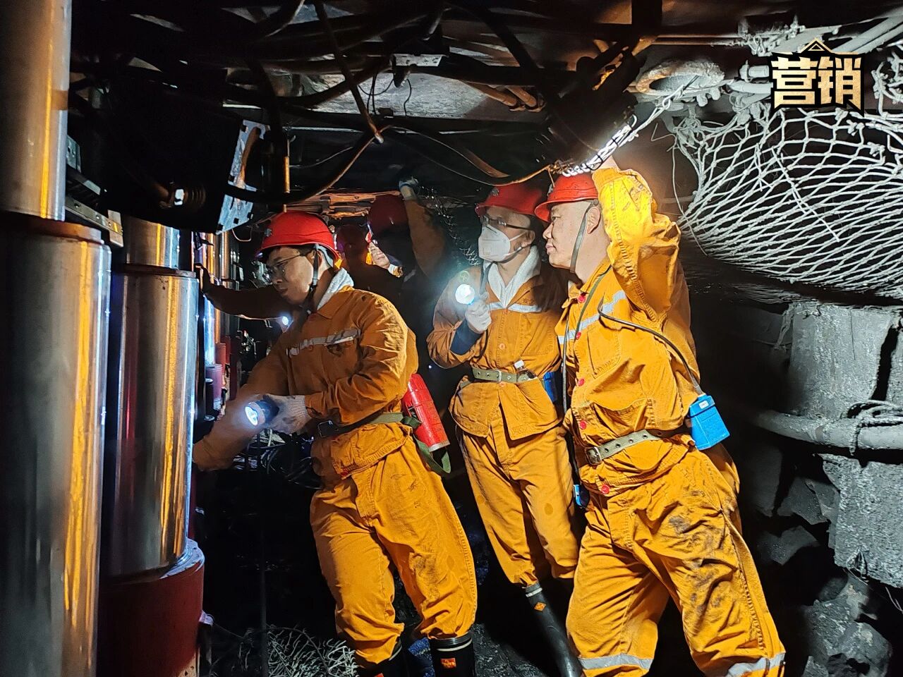 1763434013584468.jpg 2.jpg